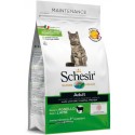 Schesir Gato Manutenção Cordeiro (Linha Seca)