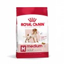 Royal Canin Medium Adult, Cão, Seco, Adulto, Alimento/Ração