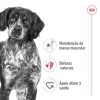 Royal Canin Medium Adult 15Kg