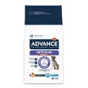 Advance VET Cão Articular Care Senior (+7 anos)