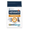 Advance Cão Weight Balance medium/maxi