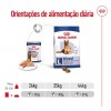 Royal Canin Maxi Ageing, Cão, Húmidos em lata, Adulto, Alimento