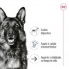 Royal Canin Maxi Ageing, Cão, Húmidos em lata, Adulto, Alimento