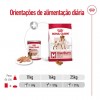 Royal Canin Medium Adult, Cão, Húmidos em lata, Adulto, Alimento