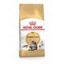 Royal Canin Maine Coon, Gato, Seco, Adulto, Maine Coon, Alimento/Ração