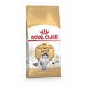 Royal Canin Norwegian Forest Cat,Gato, Seco, Adulto, Bosques Noruega, Alimento/Ração