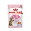 Royal Canin Kitten Sterilised (Jelly), Gatinhos, Húmidos, Alimento