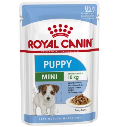 Royal Canin Mini Puppy, Cão, Húmidos, Cachorro, Alimento