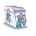 Royal Canin Mini Puppy, Cão, Húmidos, Cachorro, Alimento