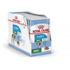 Royal Canin Mini Puppy, Cão, Húmidos, Cachorro, Alimento