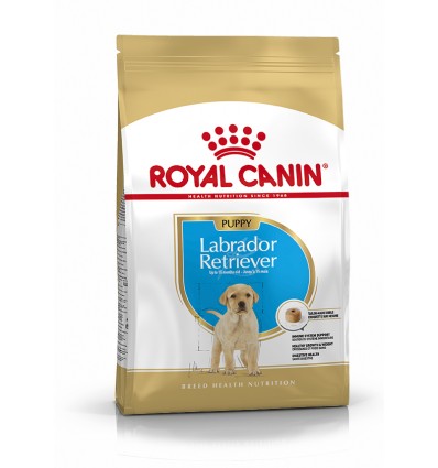 Royal Canin Labrador Retriever, Cão, Seco, Júnior, Alimento, Ração