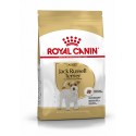 Royal Canin Jack Russell Terrier Adult , Cão, Seco, Adulto, Alimento/Ração