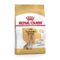 Royal Canin Yorkshire Terrier Adult 8+, cão, Seco, Sénior, Alimento/Ração