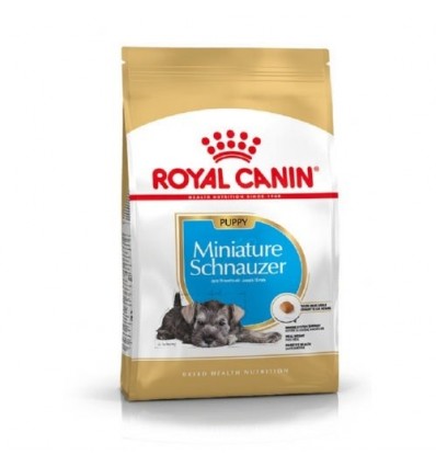 Royal Canin Miniature Schnauzer Puppy, Cão, Seco, Puppy, Alimento/Ração