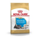 Royal Canin Miniature Schnauzer Puppy, Cão, Seco, Puppy, Alimento/Ração