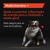 Purina Pro Plan Suplemento Mobility + Cão 60gr